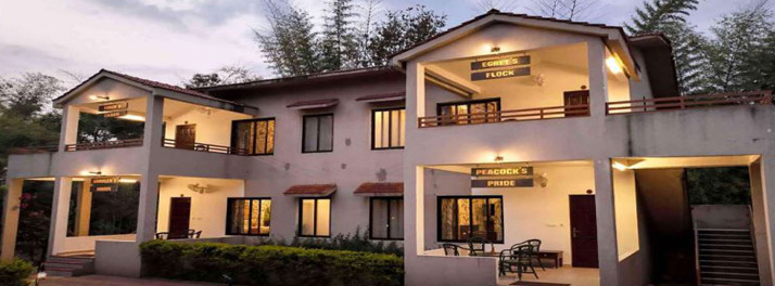 2622/Tathastu Kanha 06.jpg